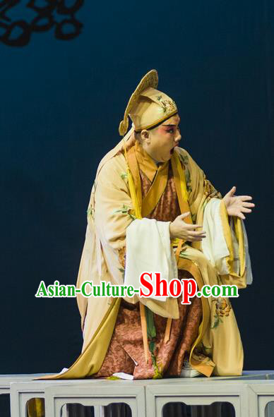 Jin Lian Chinese Hubei Hanchu Opera Young Male Apparels Costumes and Headpieces Traditional Han Opera Childe Garment Merchant Ximen Qing Clothing