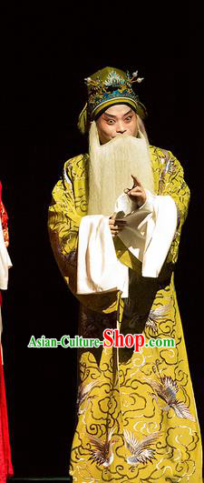 Yu Zhou Feng Chinese Hubei Hanchu Opera Minister Kuang Hong Apparels Costumes and Headpieces Traditional Han Opera Elderly Male Garment Laosheng Clothing