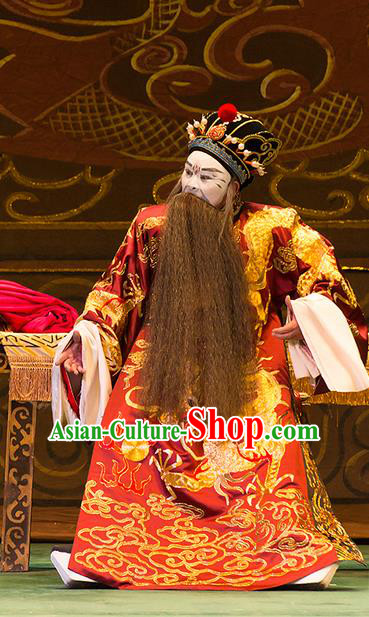 Yu Zhou Feng Chinese Hubei Hanchu Opera Jing Apparels Costumes and Headpieces Traditional Han Opera Elderly Male Garment Prime Minister Zhao Gao Clothing