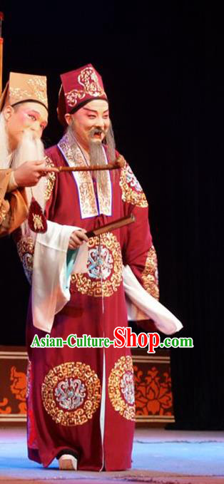 Hua Deng An Chinese Hubei Hanchu Opera Landlord Apparels Costumes and Headpieces Traditional Han Opera Elderly Male Garment Ministry Councillor Chen Cong Clothing