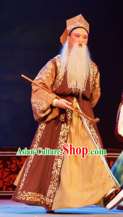 Hua Deng An Chinese Hubei Hanchu Opera Ministry Councillor Apparels Costumes and Headpieces Traditional Han Opera Elderly Male Garment Landlord Clothing