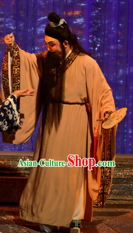 Butterfly Dream Chinese Hubei Hanchu Opera Laosheng Apparels Costumes and Headpieces Traditional Han Opera Elderly Male Garment Scholar Zhuang Zhou Clothing