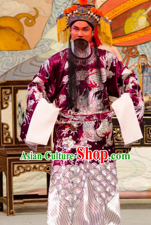 The Princess in Distress Chinese Guangdong Opera Lord Apparels Costumes and Headpieces Traditional Cantonese Opera Elderly Male Garment Infante Di Clothing