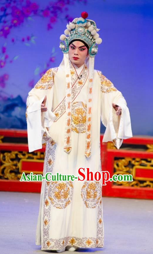 The Princess in Distress Chinese Guangdong Opera Young Male Yelu Junxiong Apparels Costumes and Headpieces Traditional Cantonese Opera Wusheng Garment Clothing