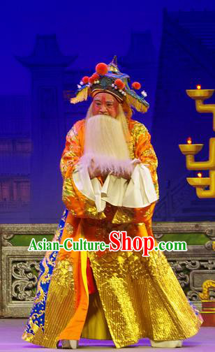 Chinese Guangdong Opera Elderly Male Wu Zixu Apparels Costumes and Headpieces Traditional Cantonese Opera Laosheng Garment Duke Clothing