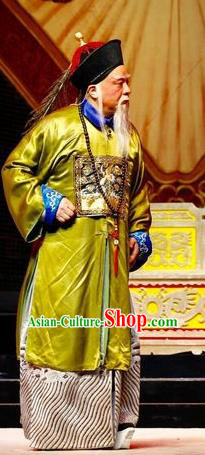 Prince Rui and Concubine Zhuang Chinese Guangdong Opera Elderly Male Apparels Costumes and Headpieces Traditional Cantonese Opera Garment Qing Dynasty Official Clothing