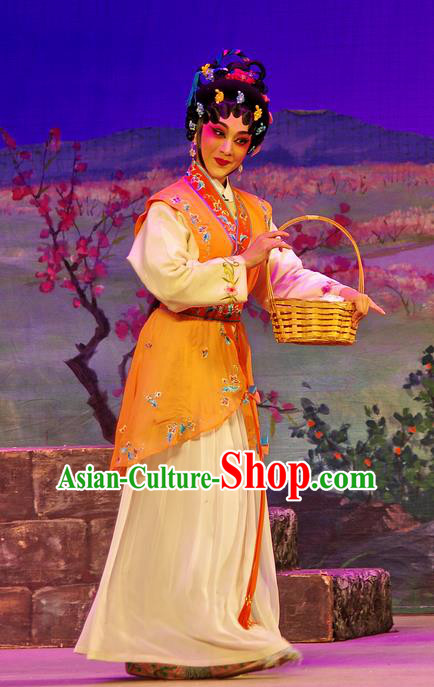 Chinese Cantonese Opera Xiaodan Garment Costumes and Headdress Traditional Guangdong Opera Young Beauty Apparels Village Girl Dress