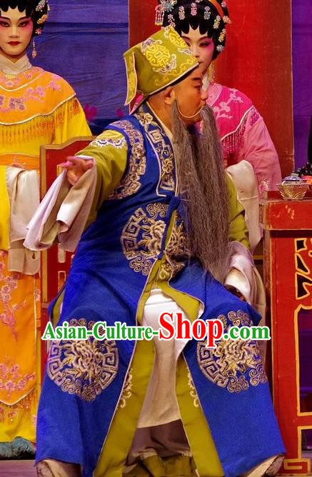 Qian Tang Su Xiaoxiao Chinese Guangdong Opera Landlord Apparels Costumes and Headpieces Traditional Cantonese Opera Laosheng Garment Elderly Male Clothing