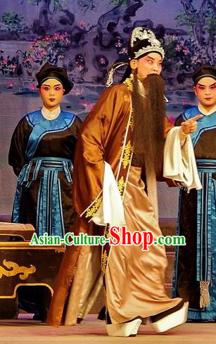 Qian Tang Su Xiaoxiao Chinese Guangdong Opera Elderly Male Apparels Costumes and Headpieces Traditional Cantonese Opera Laosheng Garment Lord Ruan Shaoye Clothing