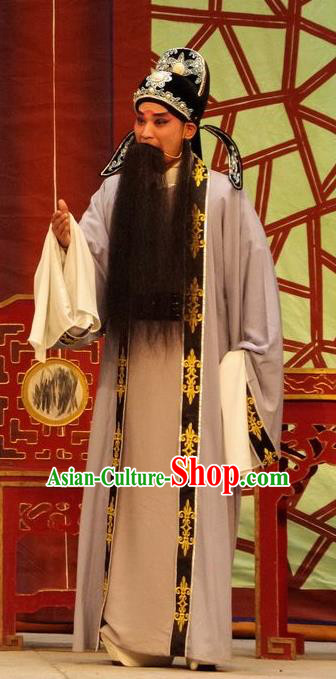 Qian Tang Su Xiaoxiao Chinese Guangdong Opera Ruan Shaoye Apparels Costumes and Headpieces Traditional Cantonese Opera Elderly Male Garment Laosheng Clothing