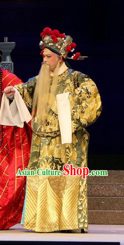 Legend of Lun Wenxu Chinese Guangdong Opera Official Apparels Costumes and Headpieces Traditional Cantonese Opera Laosheng Garment Elderly Male Clothing