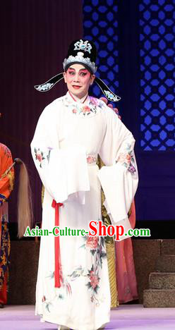 Legend of Lun Wenxu Chinese Guangdong Opera Xiaosheng Apparels Costumes and Headpieces Traditional Cantonese Opera Young Male Garment Number One Scholar Clothing