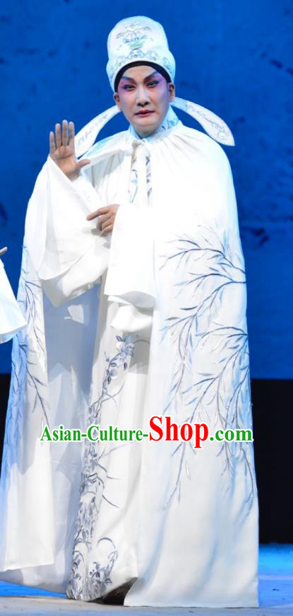 Hua Jian Ji Chinese Guangdong Opera Scholar Liang Yicang Apparels Costumes and Headpieces Traditional Cantonese Opera Young Male Garment Xiaosheng Clothing