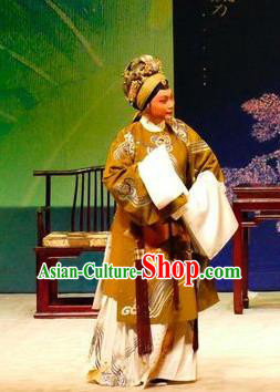 Chinese Cantonese Opera Laodan Garment Hua Jian Ji Costumes and Headdress Traditional Guangdong Opera Dame Apparels Pantaloon Dress