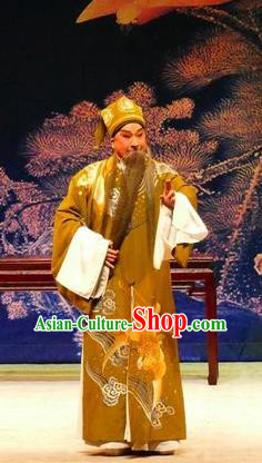 Hua Jian Ji Chinese Guangdong Opera Elderly Male Apparels Costumes and Headpieces Traditional Cantonese Opera Laosheng Garment Prime Minister Clothing