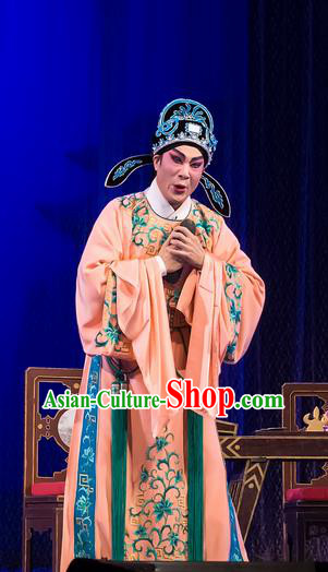 The Romance of Hairpin Chinese Guangdong Opera Wang Shipeng Apparels Costumes and Headpieces Traditional Cantonese Opera Scholar Garment Niche Clothing