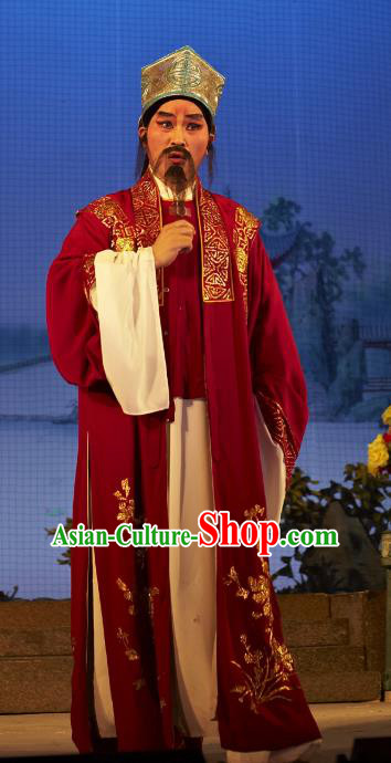 Legend of Lun Wenxu Chinese Guangdong Opera Ministry Councillor Apparels Costumes and Headpieces Traditional Cantonese Opera Laosheng Garment Landlord Clothing