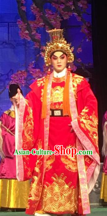 Story of the Violet Hairpin Chinese Guangdong Opera Lord Apparels Costumes and Headpieces Traditional Cantonese Opera Li Yi Garment Xiaosheng Clothing