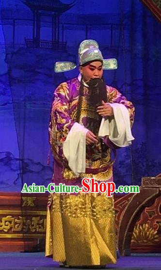 Story of the Violet Hairpin Chinese Guangdong Opera Grand Commandant Apparels Costumes and Headpieces Traditional Cantonese Opera Elderly Male Garment Clothing