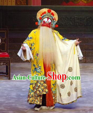 Story of the Violet Hairpin Chinese Guangdong Opera Duke Apparels Costumes and Headpieces Traditional Cantonese Opera Jing Garment Swordsman Clothing