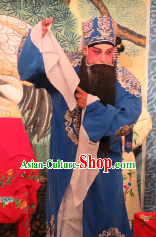 Hua Tian Ba Xi Chinese Guangdong Opera Landlord Liu Deming Apparels Costumes and Headpieces Traditional Cantonese Opera Laosheng Garment Clothing