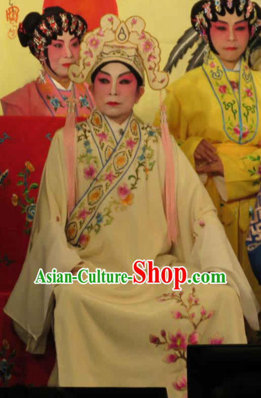 Hua Tian Ba Xi Chinese Guangdong Opera Scholar Bian Ji Apparels Costumes and Headpieces Traditional Cantonese Opera Xiaosheng Garment Gifted Youth Clothing