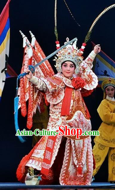 Yuan Yang Sword Chinese Guangdong Opera General Apparels Costumes and Headpieces Traditional Cantonese Opera Martial Male Garment Warrior Qiu Jianghai Kao Clothing with Flags