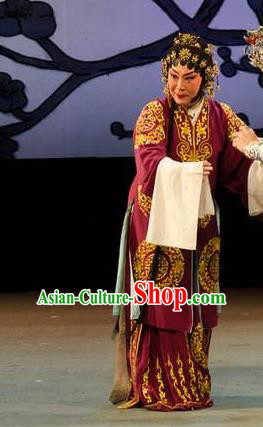 Chinese Cantonese Opera Elderly Female Garment Yuan Yang Sword Costumes and Headdress Traditional Guangdong Opera Dame Apparels Pantaloon Dress
