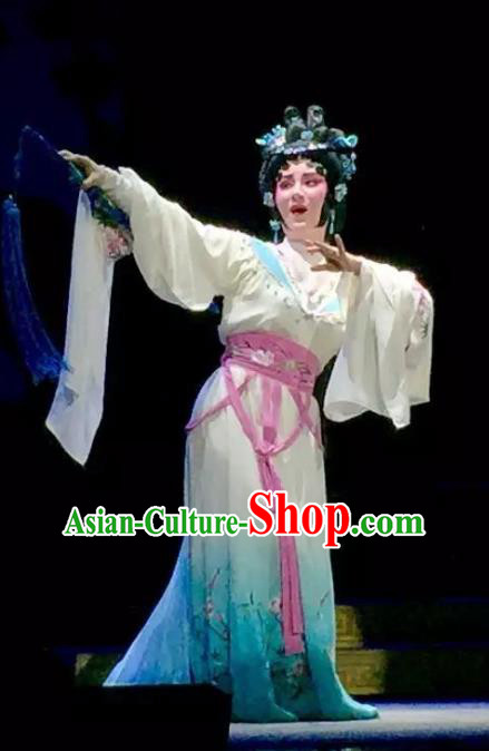 Chinese Cantonese Opera Young Female Garment Yuan Yang Sword Costumes and Headdress Traditional Guangdong Opera Diva Qin Huilan Apparels Actress Dress