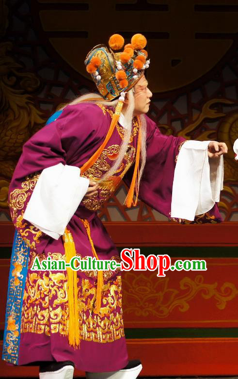 Diao Man Gong Zhu Gan Fu Ma Chinese Guangdong Opera Eunuch Apparels Costumes and Headpieces Traditional Cantonese Opera Elderly Male Garment Clown Purple Clothing