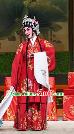 Chinese Cantonese Opera Rich Lady Garment Costumes and Headdress Traditional Guangdong Opera Hua Tan Apparels Actress Jia Yunv Red Dress