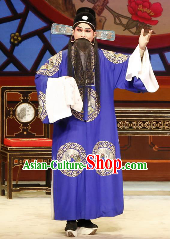 The Lotus Lantern Chinese Guangdong Opera Laosheng Apparels Costumes and Headpieces Traditional Cantonese Opera Elderly Male Garment Liu Yanchang Clothing