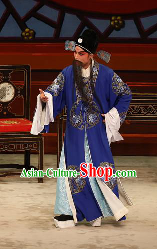 The Lotus Lantern Chinese Guangdong Opera Liu Yanchang Apparels Costumes and Headpieces Traditional Cantonese Opera Landlord Garment Elderly Male Clothing