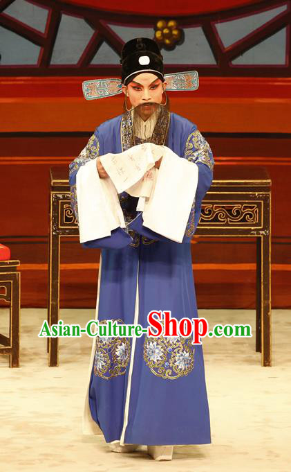 The Lotus Lantern Chinese Guangdong Opera Laosheng Apparels Costumes and Headpieces Traditional Cantonese Opera Elderly Male Garment Liu Yanchang Clothing