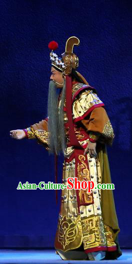 Gao Emperor of Han Chinese Guangdong Opera Elderly Male Apparels Costumes and Headpieces Traditional Cantonese Opera General Garment Armor Clothing