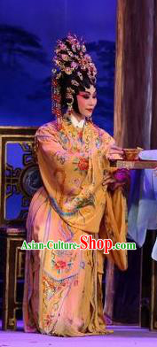 Chinese Cantonese Opera Princess Shanhu Garment Costumes and Headdress Traditional Guangdong Opera Hua Tan Apparels Young Female Dress