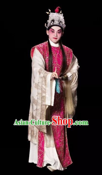 Chinese Guangdong Opera Crown Prince Wei Jianhun Apparels Costumes and Headpieces Traditional Cantonese Opera Young Male Garment Xiaosheng Clothing