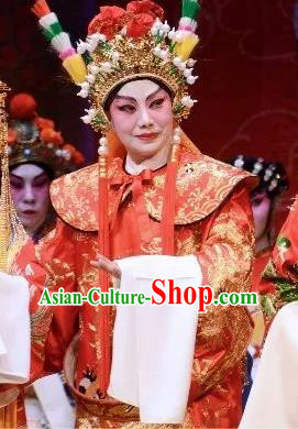 Chinese Guangdong Opera Xiaosheng Apparels Costumes and Headpieces Traditional Cantonese Opera Young Man Wei Jianhun Garment Crown Prince Clothing