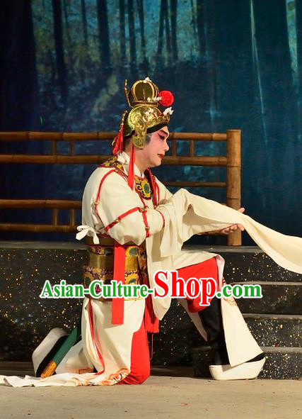 Chinese Guangdong Opera General Wei Tuo Apparels Costumes and Headwear Traditional Cantonese Opera Martial Male Garment Wusheng Clothing