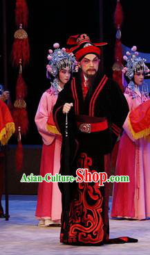 Zhaojun Frontier Song Chinese Guangdong Opera Official Wang Long Apparels Costumes and Headwear Traditional Cantonese Opera Minister Garment Clothing