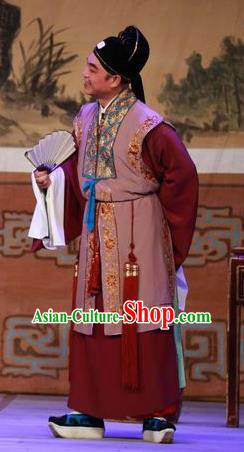 The Mad Monk by the Sea Chinese Guangdong Opera Rich Man Apparels Costumes and Headwear Traditional Cantonese Opera Merchant Garment Clothing