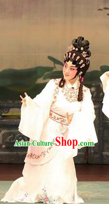 Chinese Cantonese Opera Court Maid Garment Princess Zhaojun Costumes and Headdress Traditional Guangdong Opera Xiaodan Apparels Pink Dress