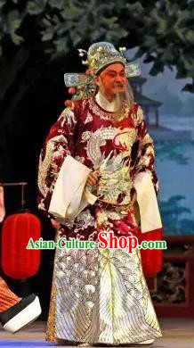 Princess Changping Chinese Guangdong Opera Elderly Male Apparels Costumes and Headwear Traditional Cantonese Opera Official Garment Minister Zhou Xing Clothing