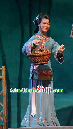 Chinese Cantonese Opera Country Woman Garment Zhuang Yuan Lin Zhaotang Costumes and Headdress Traditional Guangdong Opera Young Female Apparels Mistress Dress