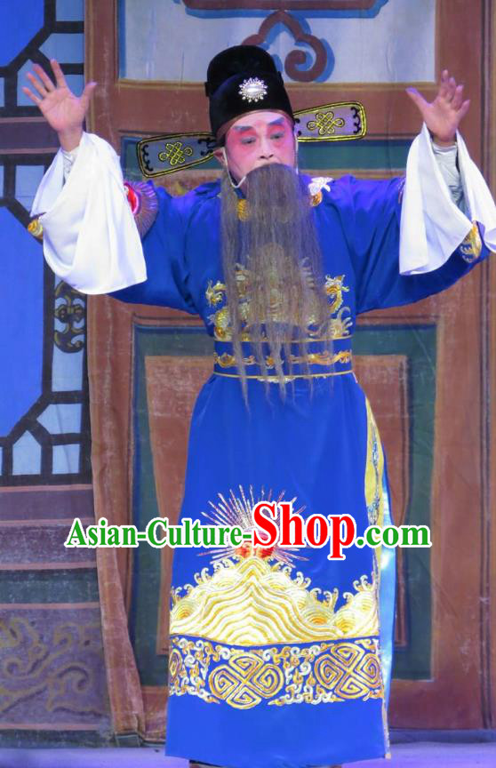 Wu Nv Bai Shou Chinese Guangdong Opera Laosheng Apparels Costumes and Headwear Traditional Cantonese Opera Elderly Male Garment Official Yang Jikang Clothing