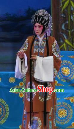 Chinese Cantonese Opera Noble Dame Garment Wu Nv Bai Shou Costumes and Headdress Traditional Guangdong Opera Elderly Female Apparels Mistress Dress