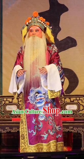 Chinese Guangdong Opera Elderly Male Apparels Costumes and Headwear Traditional Cantonese Opera Laosheng Garment Duke Guo Ziyi Clothing