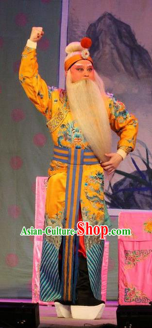 Chinese Guangdong Opera Duke Guo Ziyi Apparels Costumes and Headwear Traditional Cantonese Opera Elderly Male Garment Laosheng Clothing