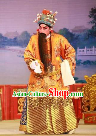 Wu Suo Dong Gong Chinese Guangdong Opera Monarch Apparels Costumes and Headwear Traditional Cantonese Opera Emperor Garment Elderly Male Clothing