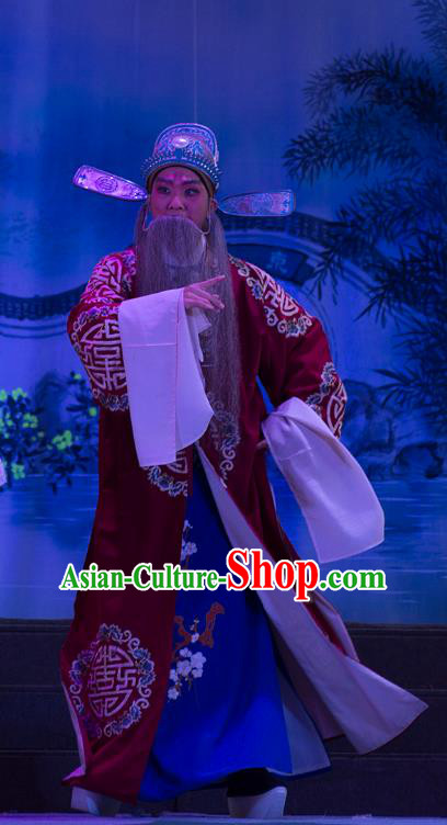 Wu Suo Dong Gong Chinese Guangdong Opera Official Apparels Costumes and Headwear Traditional Cantonese Opera Laosheng Garment Landlord Clothing